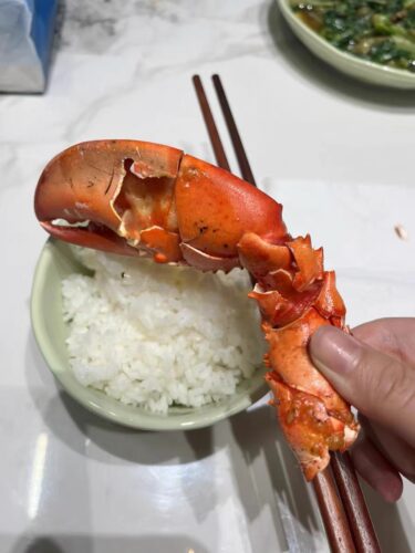 Live Maine Lobster photo review